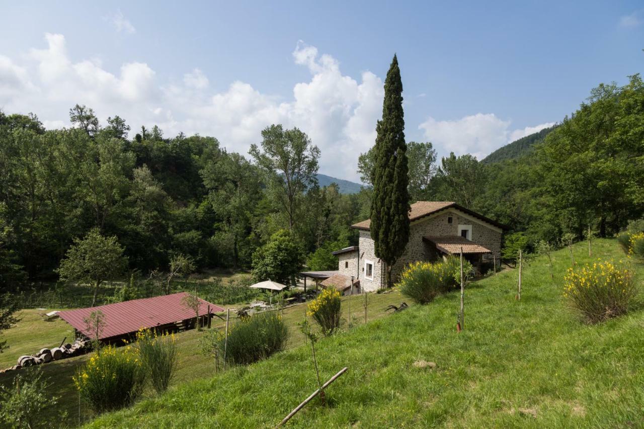Agriturismo Di La Dall'Acqua Fivizzano Ngoại thất bức ảnh